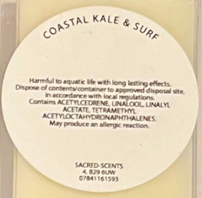 Coastal Kale & Surf clamshell