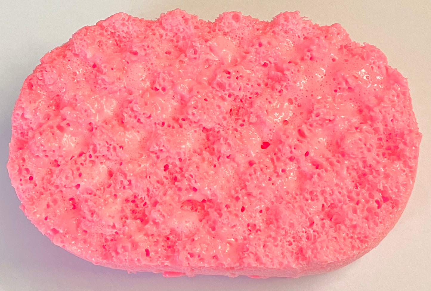 Fairy Dust Scented Exfoliating Soap Sponge