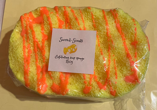 Tropical Paradise Scented Exfoliating Soap Sponge